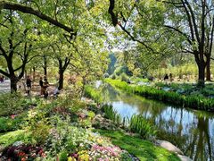 -上海共青森林公园