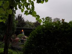 -石羊农庄