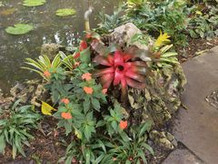 -中国科学院西双版纳热带植物园