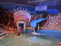 -烟台海昌鲸鲨海洋公园
