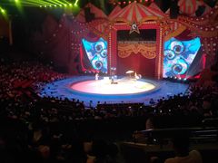 -珠海横琴长隆《卡卡虎奇遇记》