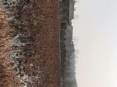 -渭南桃花源民俗文化园