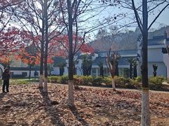 -采石矶景区