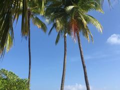 -中央格兰德岛温泉度假酒店 - 全包