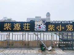 -柴源莊·柴小宠柴犬咖啡
