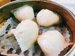 虾饺-点点心点心专门店(湾仔店)