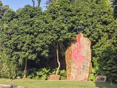 -深圳仙湖植物园