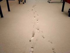 -渔公馆·川菜馆·家宴·生日宴(大地中央广场店)