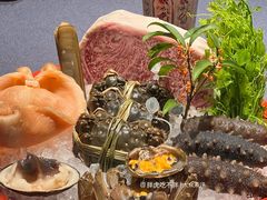 -子福慧(虹桥店)