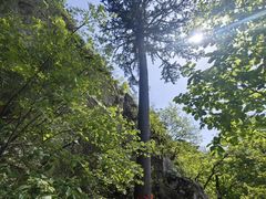 -大芦花风景区