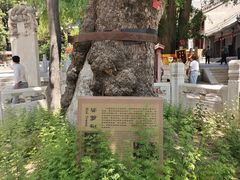 -潭柘寺景区