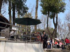 -杭州少年儿童公园