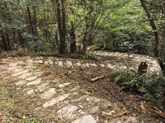 -雁荡山雁湖景区