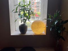 -灸春堂·专业艾灸·连锁品牌(丰潭路店)