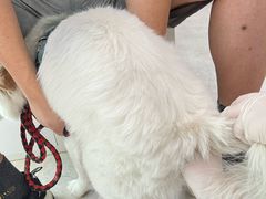 -纳吉亚猫专科动物医院·北北分院
