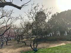 -无锡梅园公园