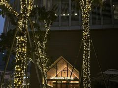 -深圳湾万象城(南山店)