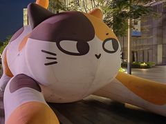 -东莞松山湖万象汇