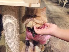 -小时光咖啡馆(开森度假森林店)