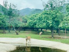 -西安秦岭野生动物园