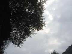 -陕西省红河谷森林公园