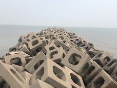 -东疆建设开发纪念公园