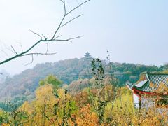 -北山公园