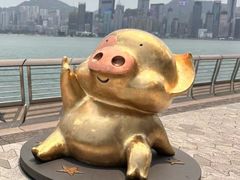 -星光大道