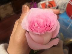 -FEI FEI FLOWER鲜花店·气球派对·宝宝宴布置(虹口德必运动Loft店)