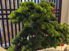 -毛家饭店·30年融合新湘菜(汉峪金谷店)