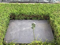 -侵华日军南京大屠杀遇难同胞纪念馆