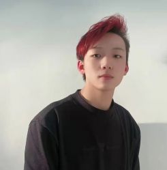 -YESIDO椰岛造型