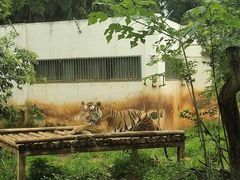 -昆明动物园