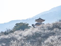 -广州市流溪河国家森林公园