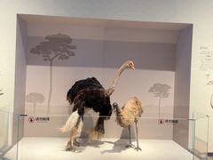 -抱抱地球咖啡馆(国家海洋博物馆店)