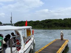 -东寨港红树林旅游区