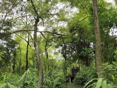 -广西壮族自治区药用植物园