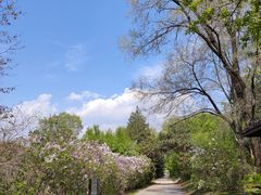 -萨尔浒风景区