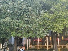 -翠府(翠湖北路店)