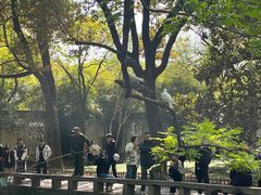 -西园戒幢律寺