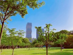 -新虹桥中心花园