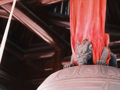 -上海白云观