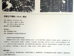 -西安大唐西市博物馆
