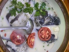 -全乐鱼馆·淳牌有机鱼直营店