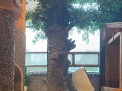 -汤森悠生活文化汤(江宁万达店)