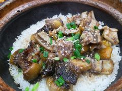 -红星光发煲仔饭(大石街店)