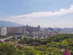 -金鸡山公园