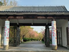 -上海海湾国家森林公园