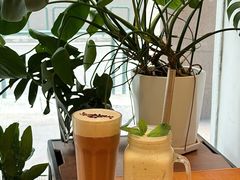 -VEGA VEGA 我行我素