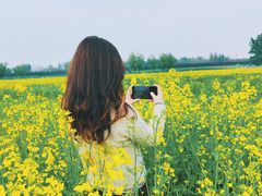 -汉长安城未央宫国家考古遗址公园